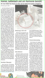 2013-11 Kleiner, Satteldach und um Harmonie bemüht.jpg